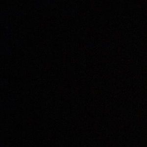 Meet your Posher, Travis